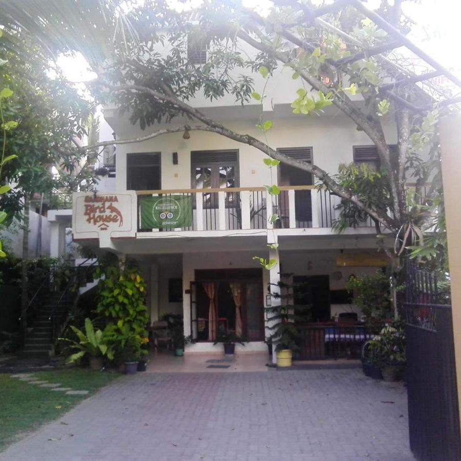 Birdhouse Unawatuna